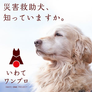 ワンプロ