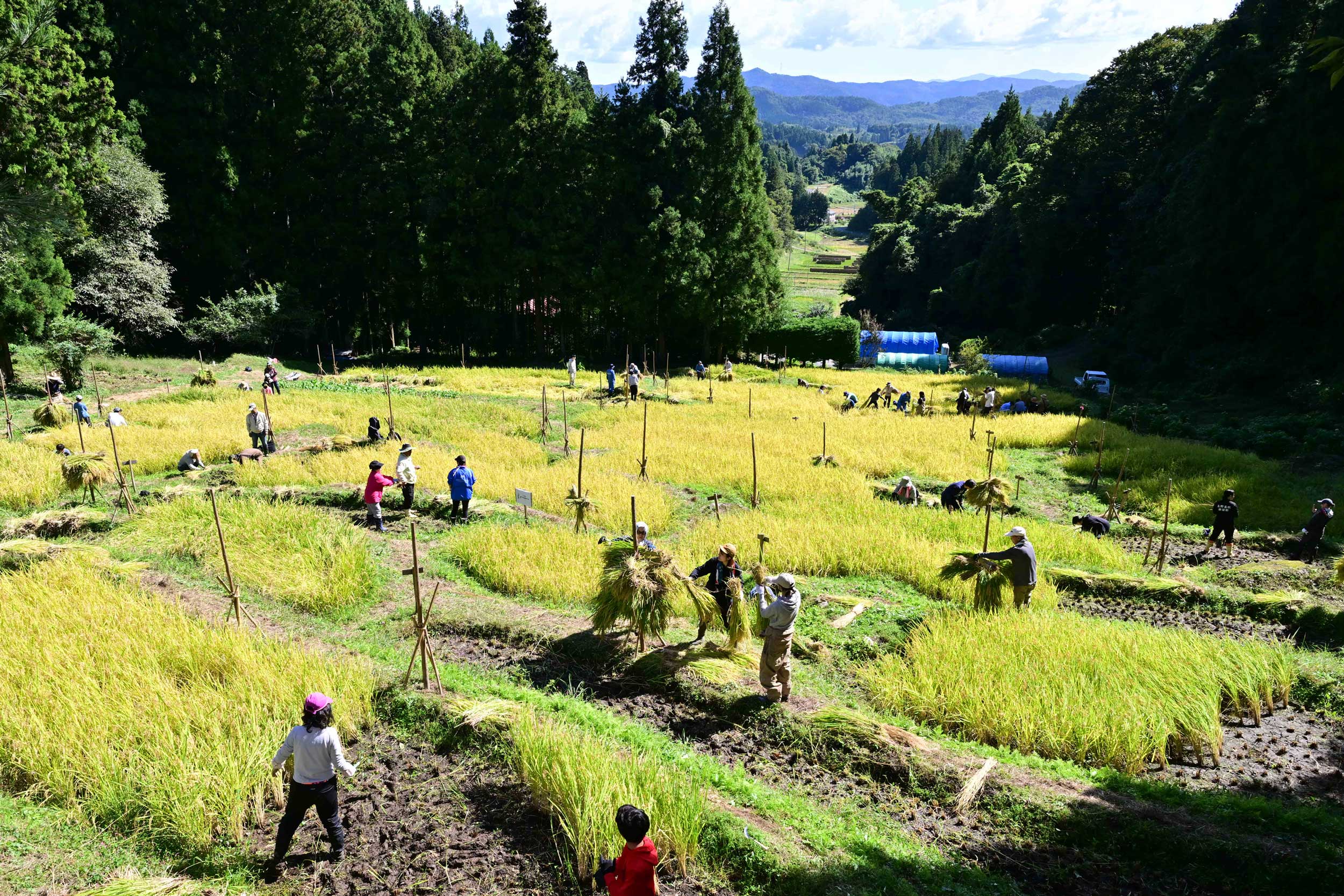岩手日報社 THE IWATE NIPPO CO.,LTD.