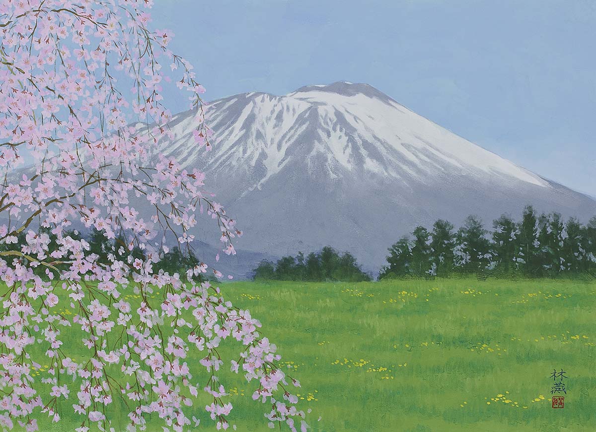 村田林藏さんの新作「桜花岩手山」